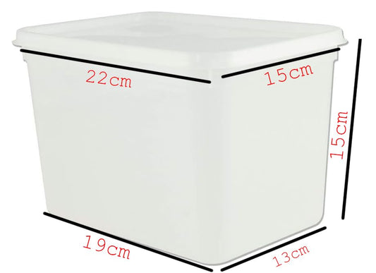 NORTHPAC Rectangular Ice Cream Container/Food Storage Container (10) | With LuckyBoy Greetings