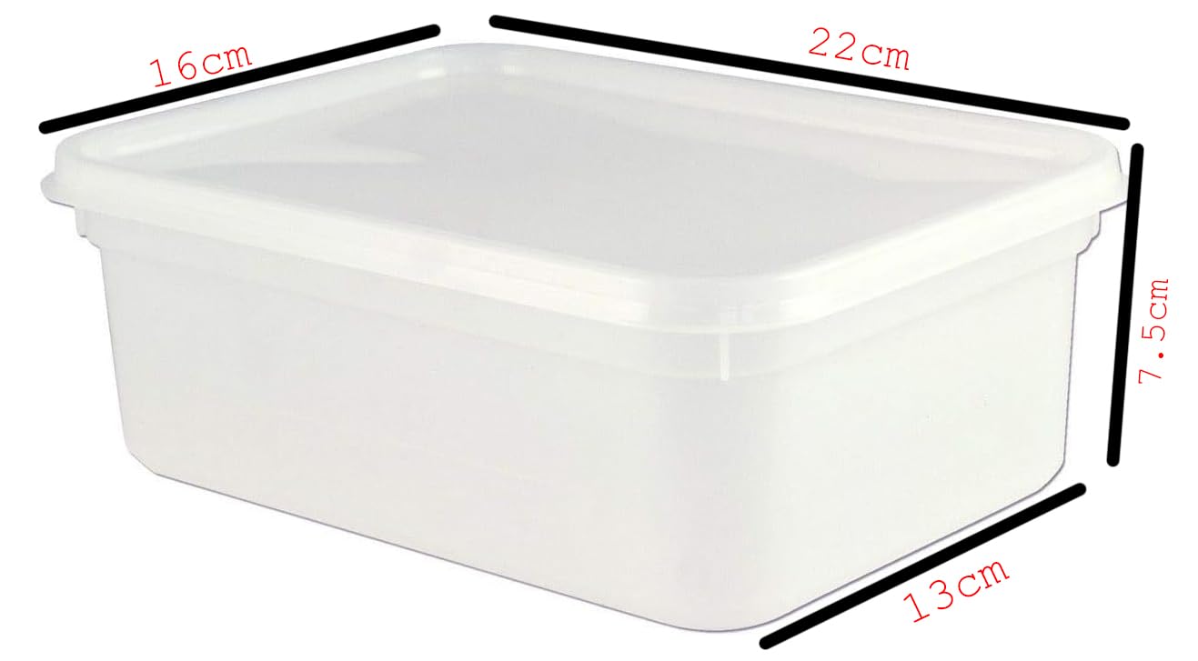 NORTHPAC Rectangular Ice Cream Container/Food Storage Container (10) | With LuckyBoy Greetings