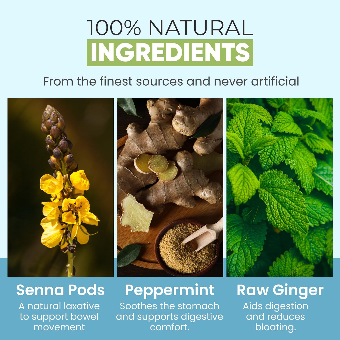 Dalgety Effective Slimline Herbal Infusion 40g Carton - 100% Natural, Caffeine Free Tea (Total 18 Teabags) – Our Slimming Tea is Packed with Unique Health Benefits